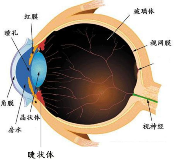 微信图片_20221209132738.png